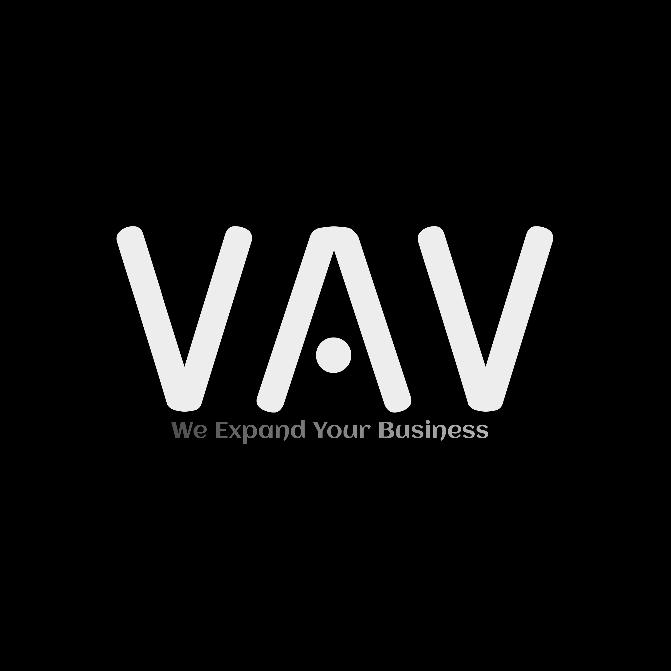 V.A.V  Digital Marketing Agency